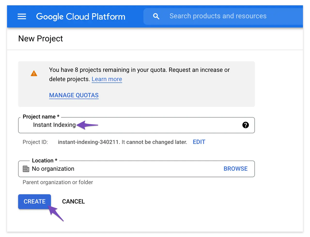 nuovo progetto per-instant indexing api google platform