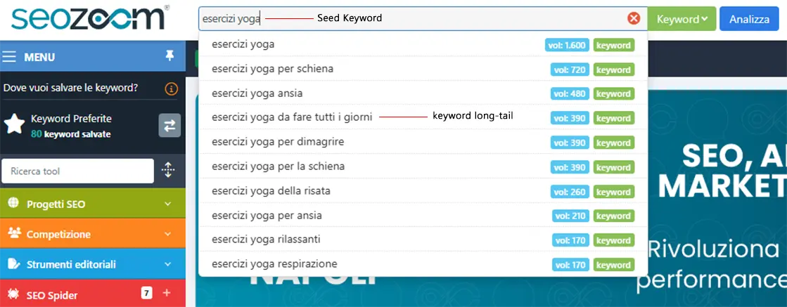 seed keyword